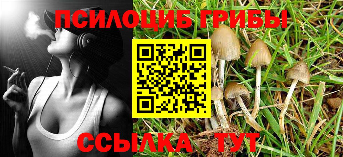 Псилоцибиновые грибы мицелий Обнинск